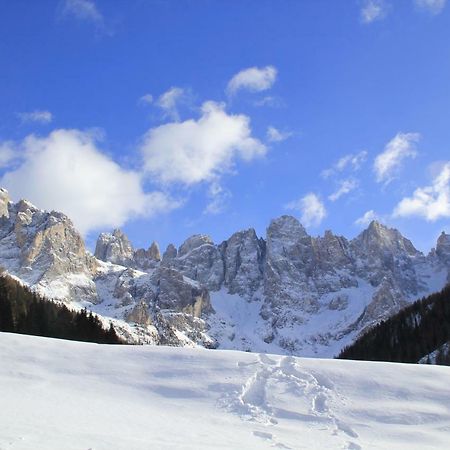 Casa Fiemme Panchia 아파트 외부 사진