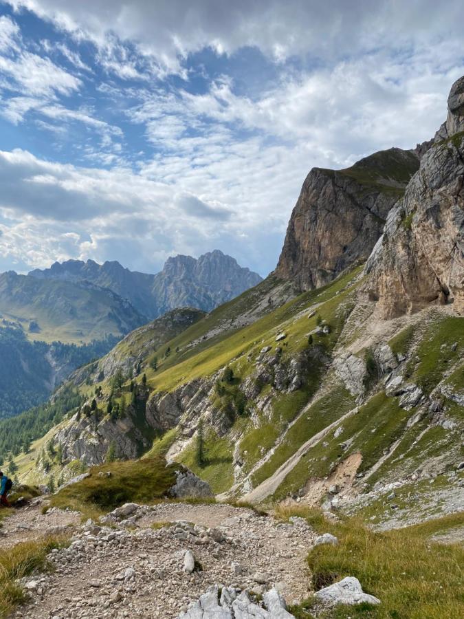 Casa Fiemme Panchia 아파트 외부 사진