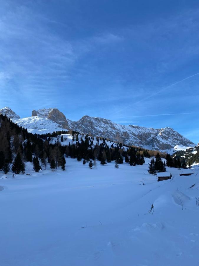 Casa Fiemme Panchia 아파트 외부 사진