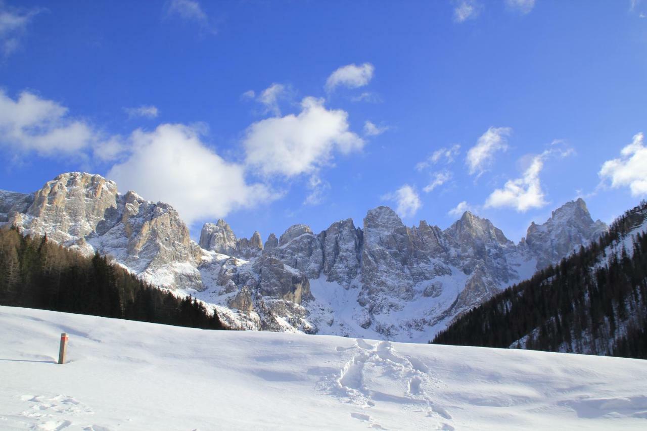 Casa Fiemme Panchia 아파트 외부 사진